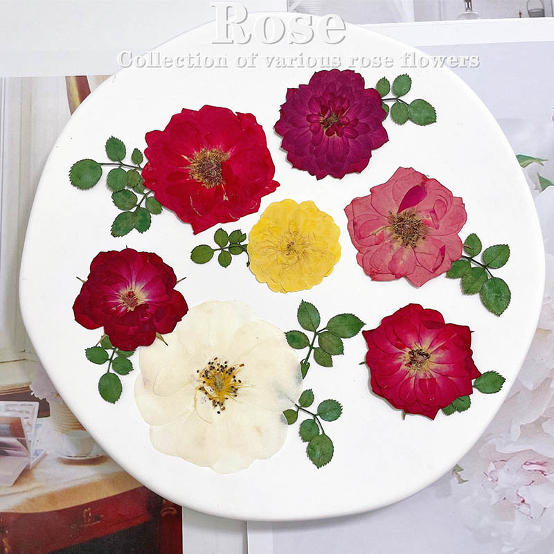 Dried Flower Bookmark - 60pcs Geperst Gedroogd Rood Geel Roze