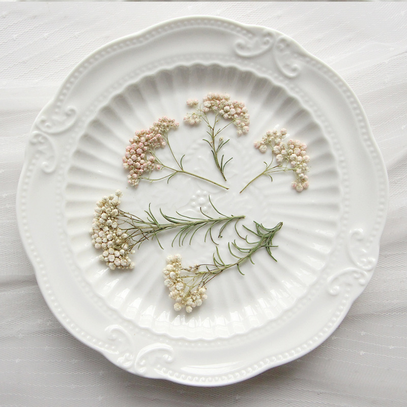 Dried Flower Bookmark - 12 stuks, natuurlijke gierstbloemtakken, geperste gedroogde