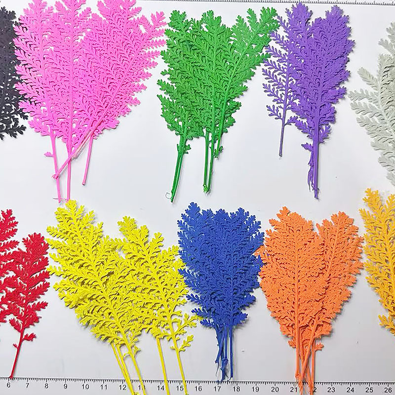 Dried Flower Bookmark - 100 stuks natuurlijke zilveren verenbladeren, gekleurd,