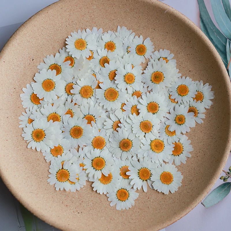 60X Geperst Gedroogde Natuurli - Dried Flower Bookmark recensie en prijs