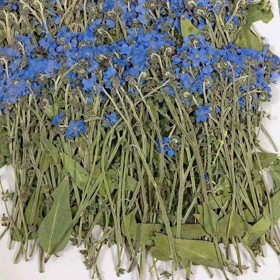 Natuurlijk geperste gedroogde  - Dried Flower Bookmark recensie en prijs