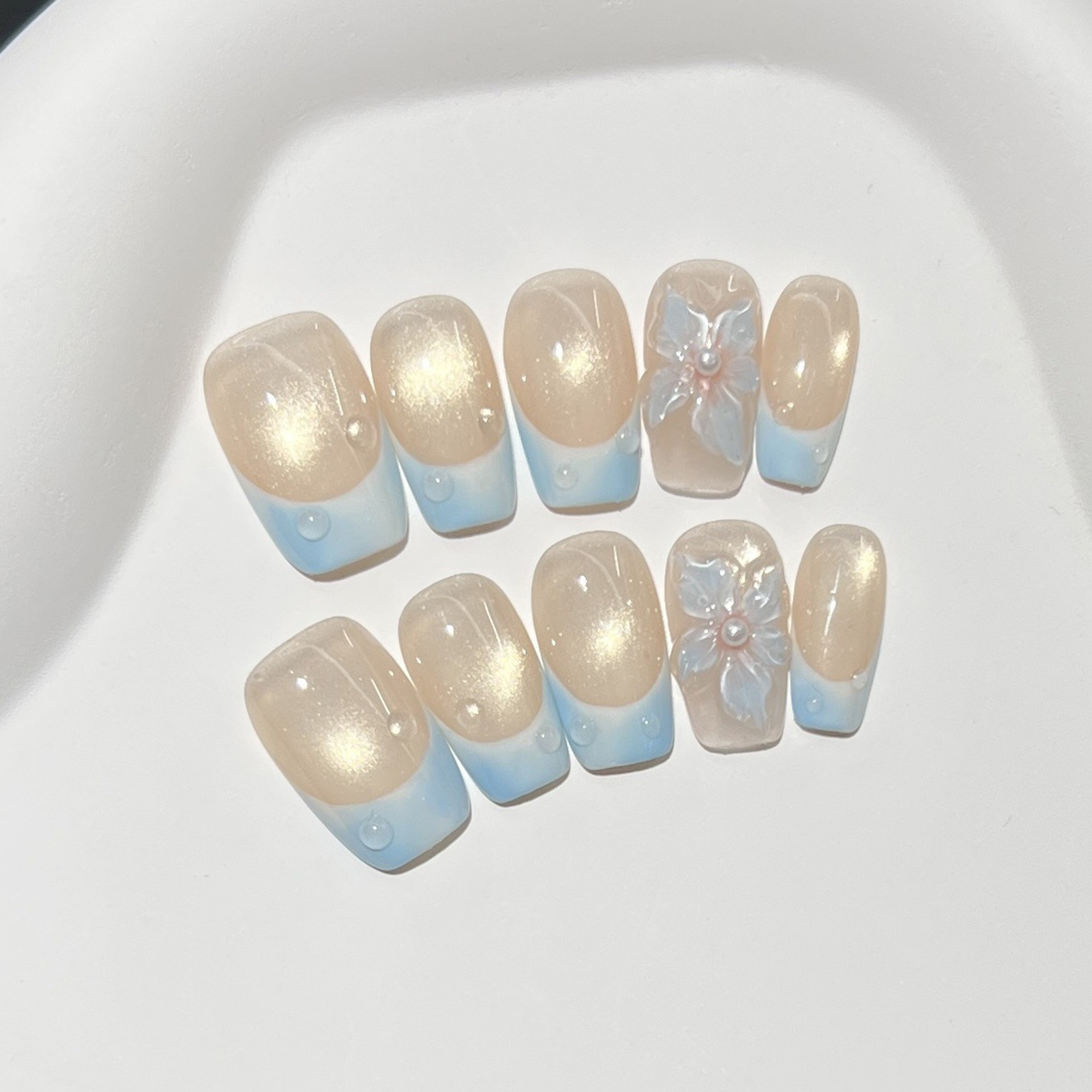 10 stuks Franse blauwe glanzen - Pressed Flower Art recensie en prijs
