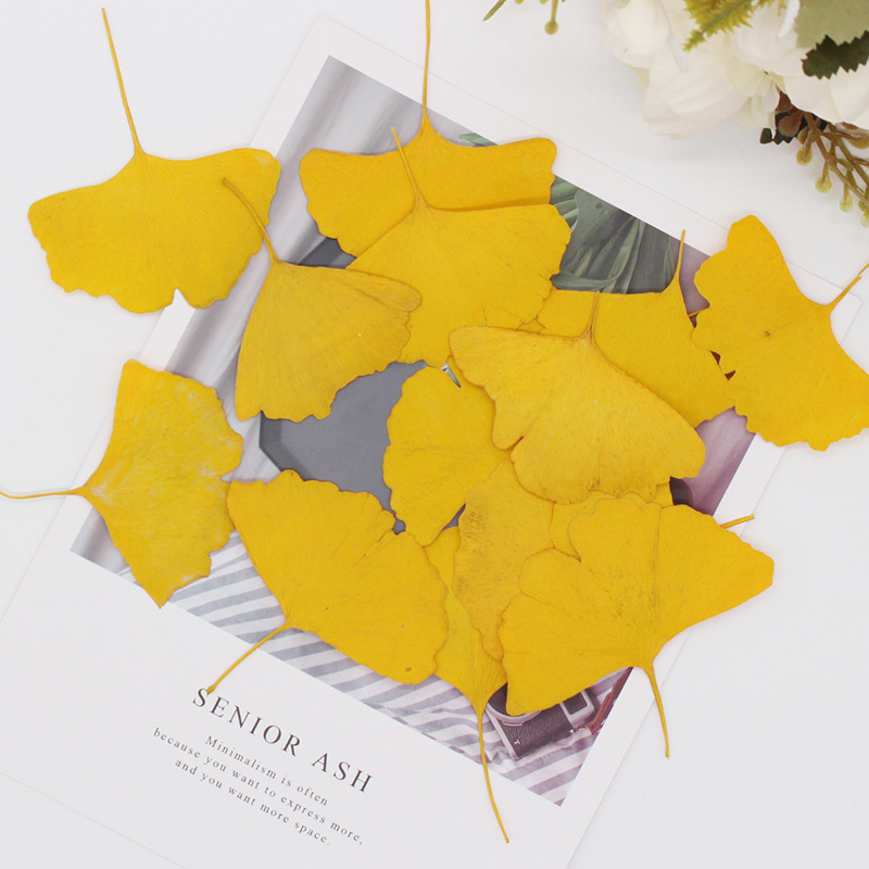 60 Stuks Geperst Gedroogd Geel - Dried Flower Bookmark recensie en prijs